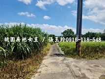 龍潭大平【都內農】送鐵皮屋..