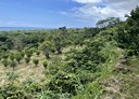 長濱鄉-土地，1529.6坪