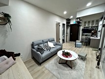 華江一路江翠芬蘭極光新成屋..