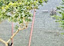 竹北市-勝利十五街3房2廳，55.4坪