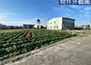 潭子區-雅潭路二段土地，766.8坪