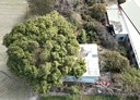 彰化市-中山路一段土地，545.7坪
