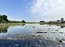 員林市-土地，673.4坪