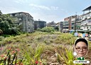 鶯歌區-中正一路土地，276.2坪