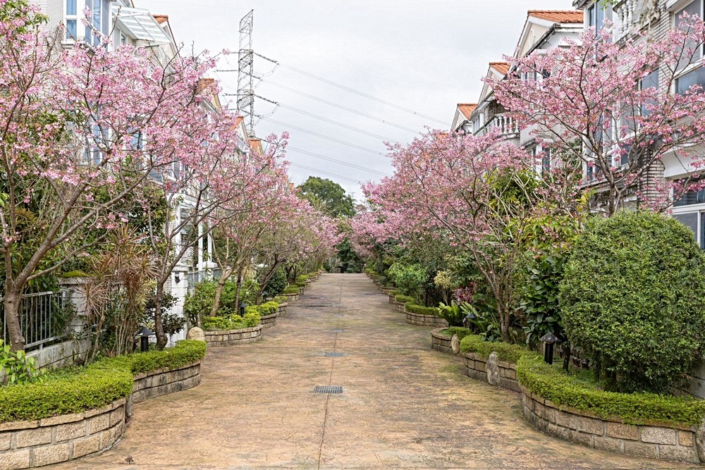 房屋圖片