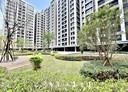 太平區-環中東路三段3房2廳，55.5坪