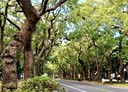 大安區-敦化南路一段3房2廳，51坪