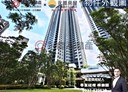 林口區-文化三路一段開放式格局，140.1坪