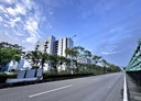 竹北市-興隆路五段土地，229坪