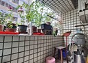 大社區-大新路4房2廳，41.3坪