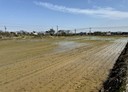 觀音區-土地，873.3坪
