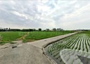 頭份市-土地，500坪