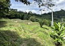 三灣鄉-土地，2985.3坪