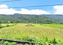 壽豐鄉-土地，1528坪