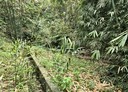 竹崎鄉-土地，1291.9坪
