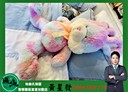 林口區-文化三路二段2房2廳，33.3坪