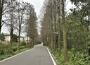 大溪區-石園路4房3廳，62.5坪