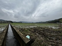 ✅新埔五埔段農地✅
