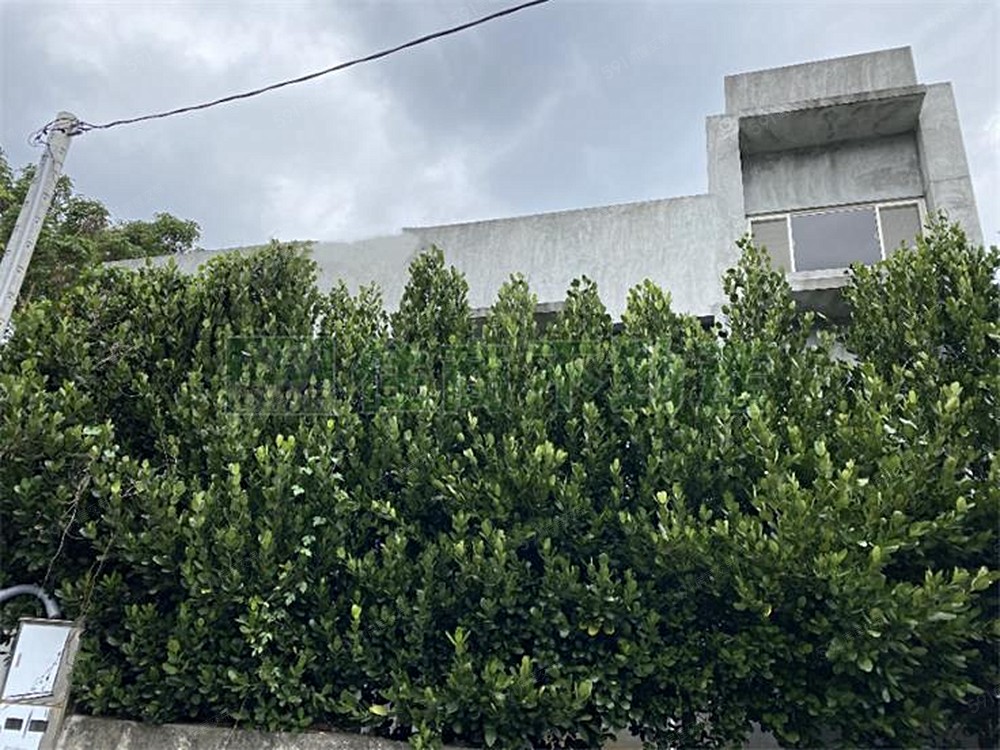 房屋圖片