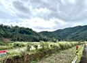 三星鄉-土地，770.2坪