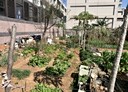 楊梅區-員富段土地，35.4坪