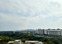 林口區-仁愛路一段3房2廳，48.5坪
