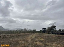 恆春保力山農地