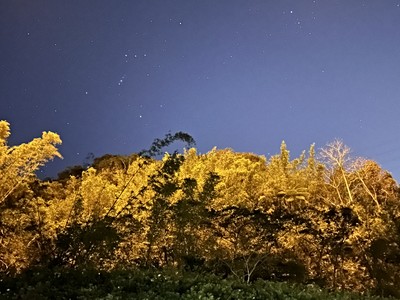 🍎台灣普羅旺斯｜到信義區只要25分｜電梯華廈有坡平車位