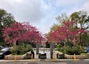 楊梅區-湖山街3房2廳，26.5坪