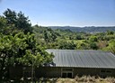 東勢區-土地，1179.5坪
