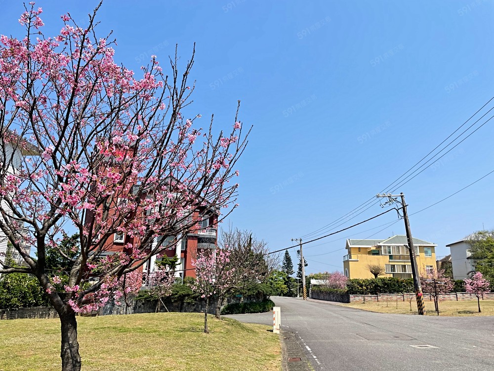 房屋圖片