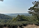 北埔鄉-土地，950.1坪