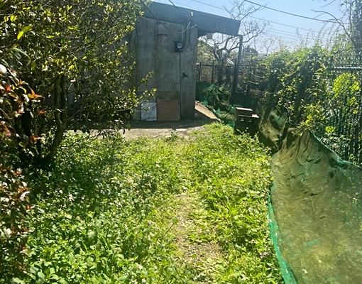 陽明山永公路閻錫山美景庭院房 - Image 13