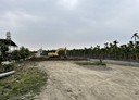 內埔鄉-土地，118.6坪