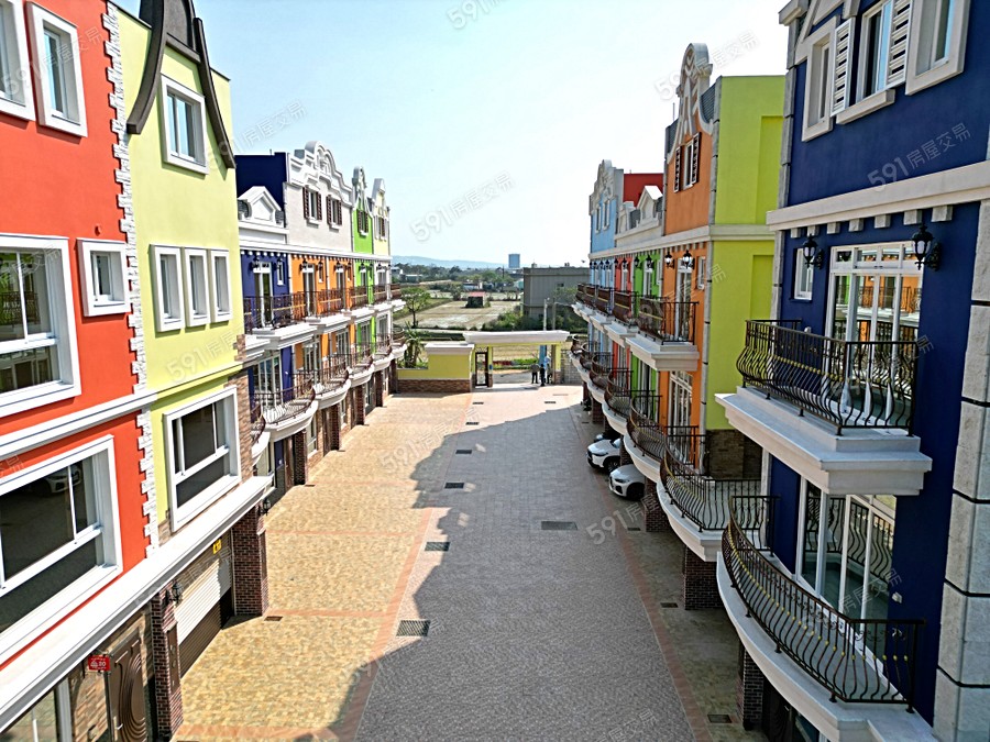 荷蘭小鎮實景圖