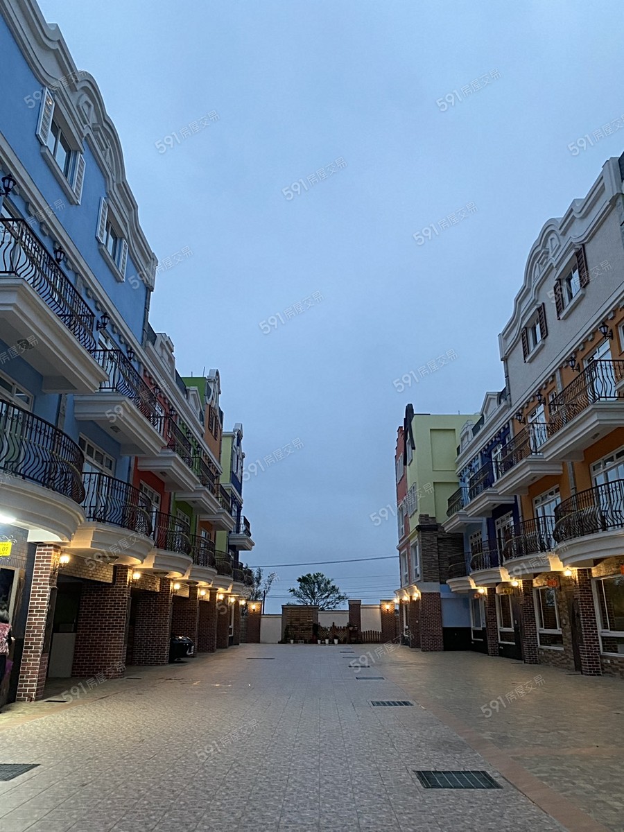 荷蘭小鎮實景圖