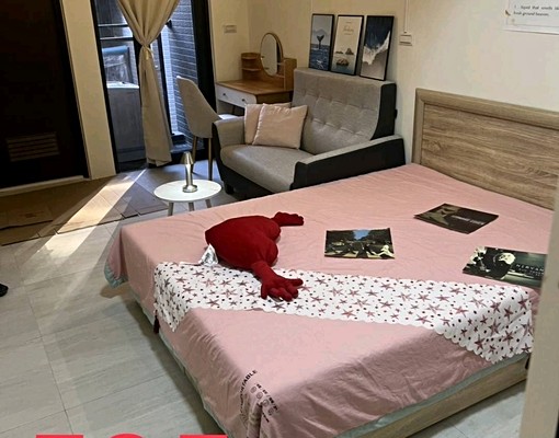 觀音成功路，長榮，全新電梯，陽台，垃圾專人處理， - Image 3