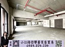 西屯區-市政北七路開放式格局，196.1坪