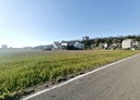 頭份市-土地，280坪