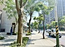 八德區-公園路店面，90.8坪
