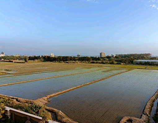景觀❤️全新二房可租補台水電近好市多過嶺 - 591租屋網 - Image 11