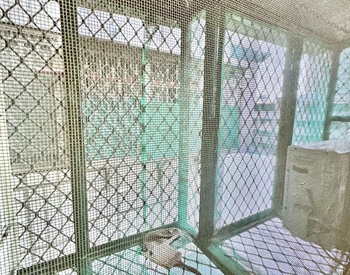 ✨可租補✨獨洗凸窗曬✨流理台✨廁所開窗通風✨近文心森林公園✨ - Image 3