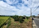 南投市-南鄉段土地，302.5坪