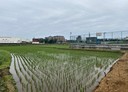 中壢區-土地，920坪