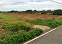 觀音區-大湖段土地，1081坪