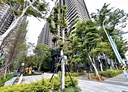 東區-埔頂三路2房2廳，32.5坪