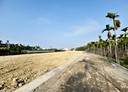 內埔鄉-土地，118.6坪