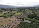 壽豐鄉-大坪段土地，2058.7坪