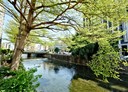 南區-東興路一段4房3廳，74.6坪