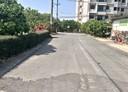 麻豆區-磚子井土地，192.9坪